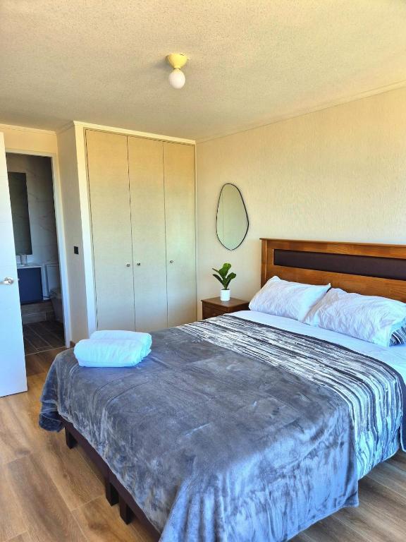 Grande y espacioso departamento cercano al centro - 4