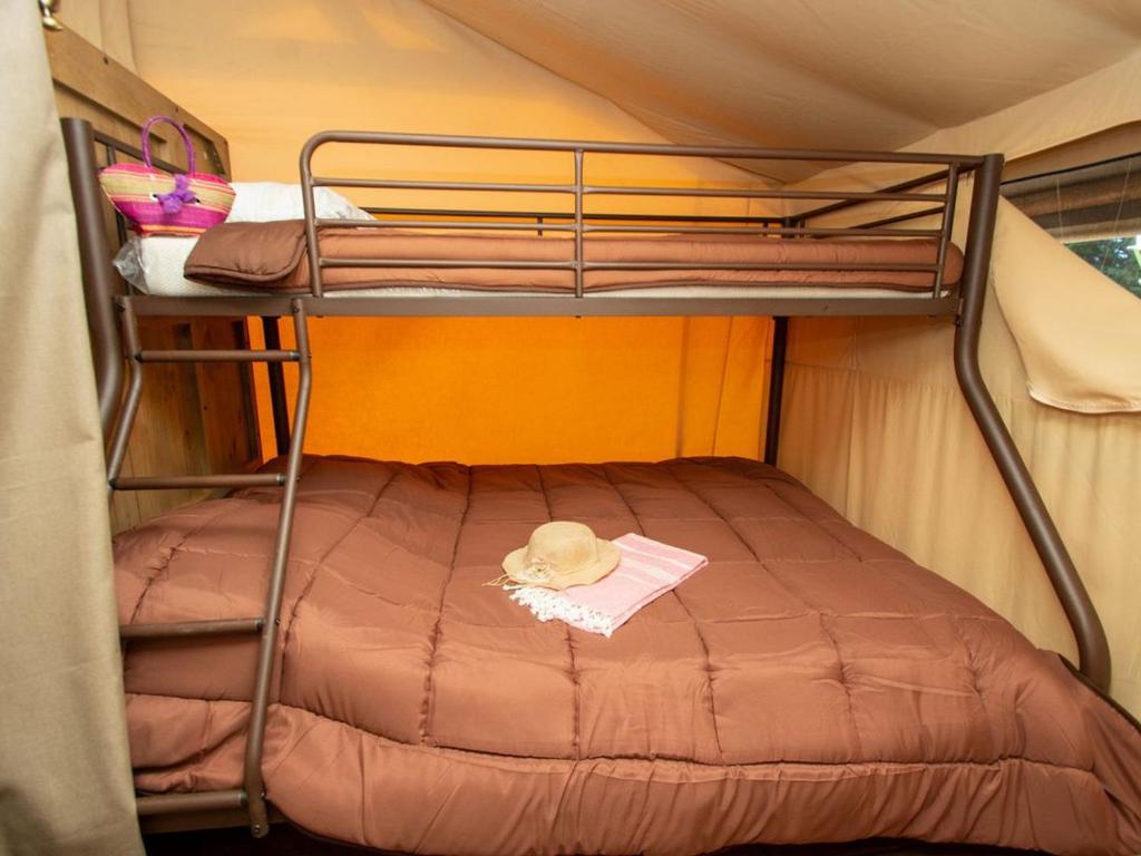 Lodge sur pilotis avec terrasse pour 5 personnes - API-1-52-1504 - 5