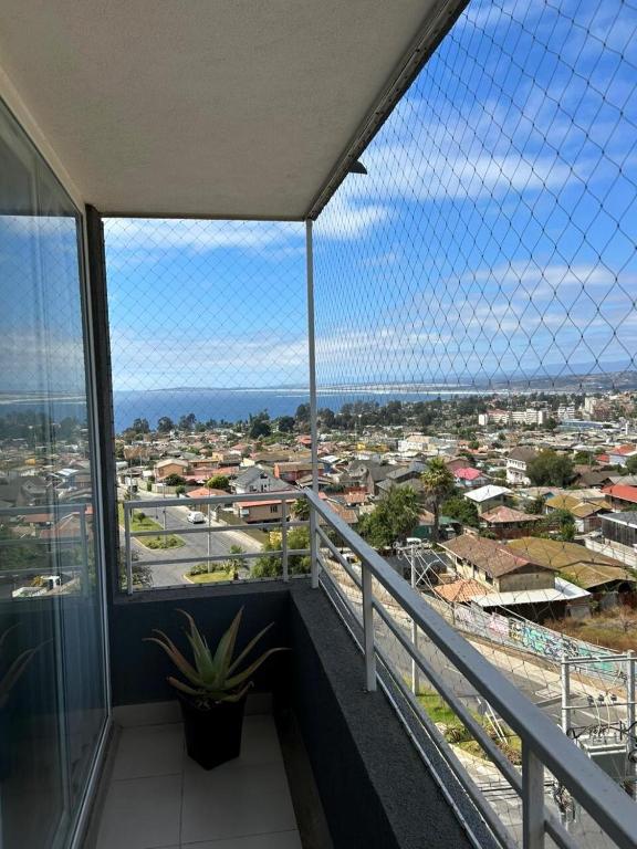 Monkey apartment Concon - 4