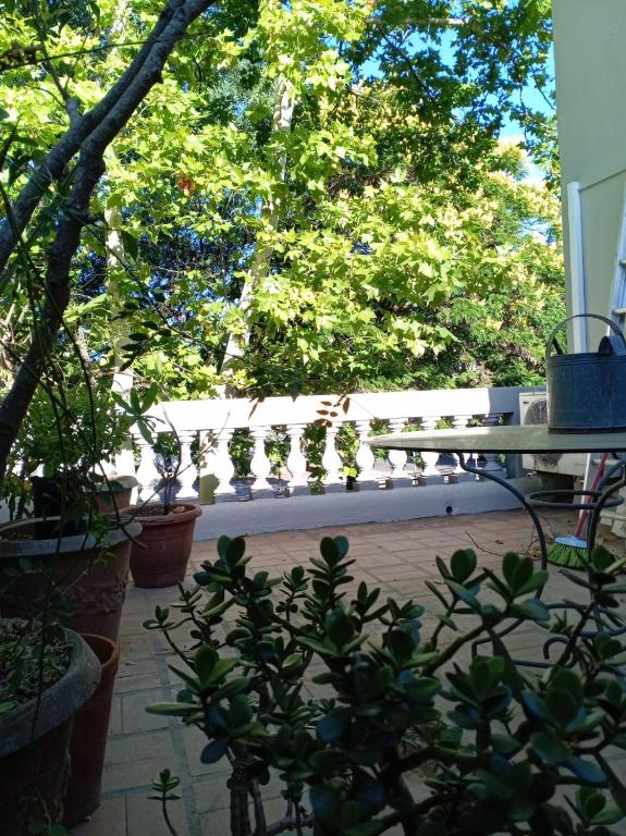 Casa Centrica en Colonia - Vistas Abiertas y Patio Natural - 4