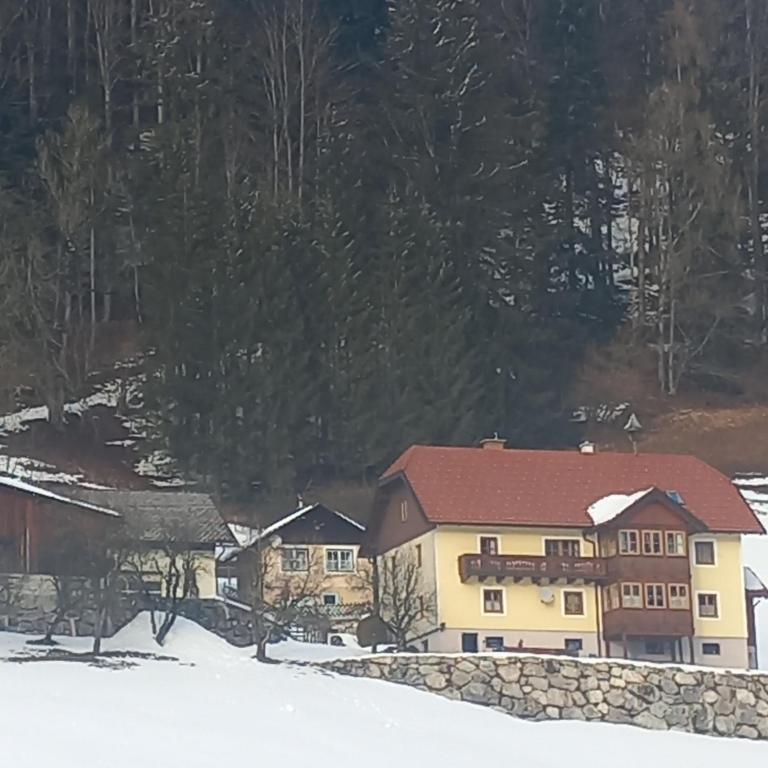 Ferienwohnung Strimitzer - 2