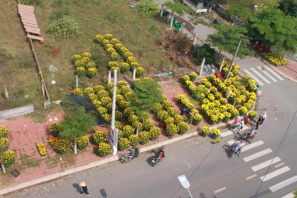 Surrounding environment