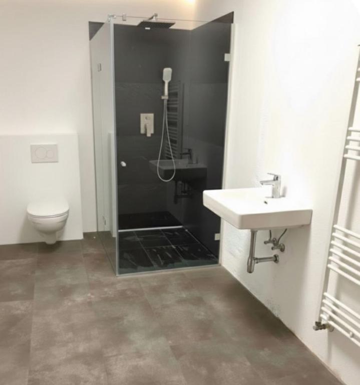 ZILLERTAL Suite Hunde Apartement - 5