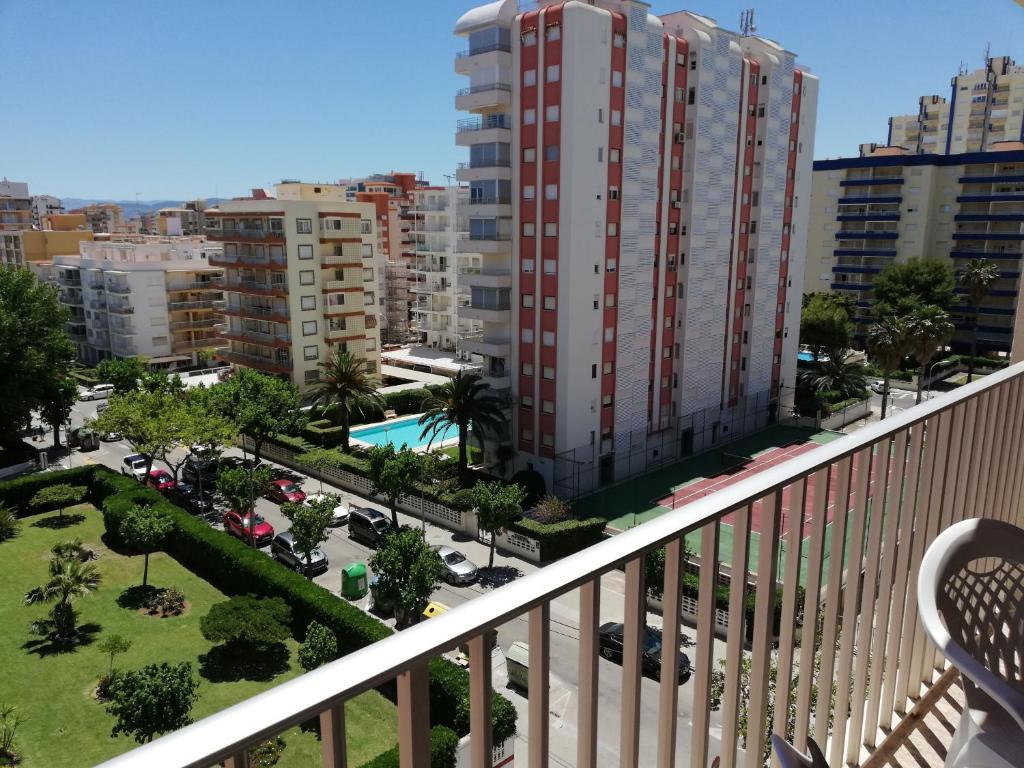 Danio Solo Familia Serviplaya - 4