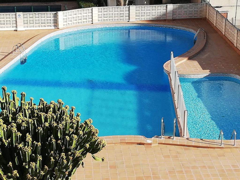 Apartamentos Bonaire 1ª Linea Wifi Solo Familias Serviplaya - 5