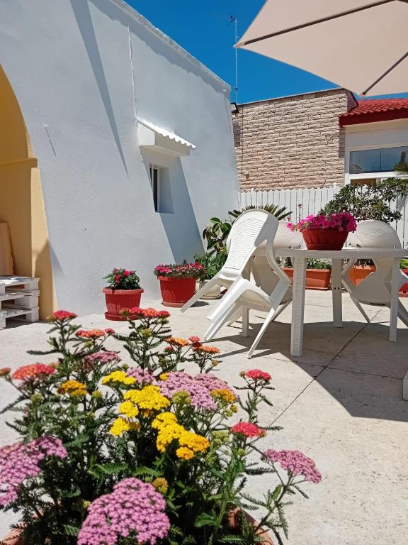 trullo della viola - 3