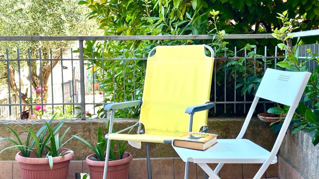 N294 - Numana, ampio quadrilocale con giardino e wifi - 2