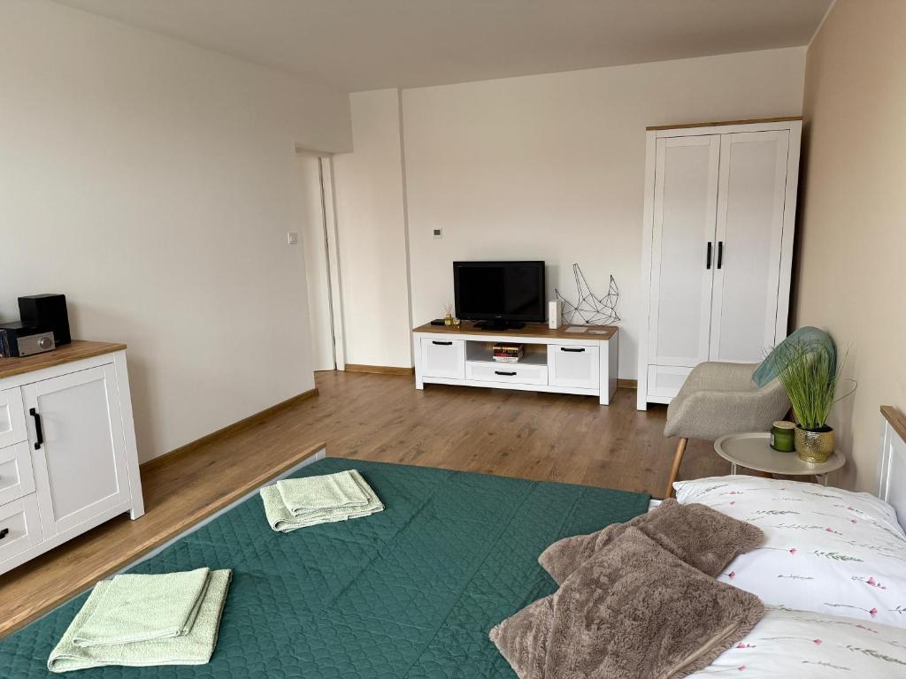 팜 스테이 정원