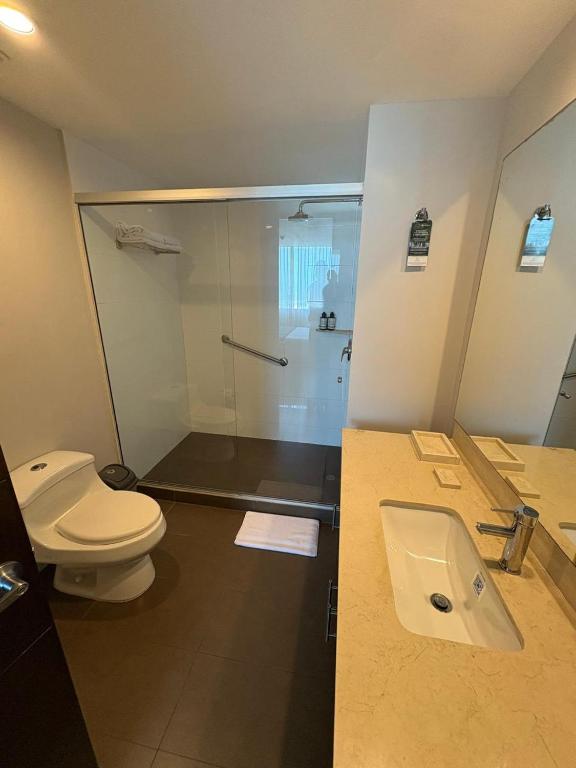 Aparthotel Suite Hotel Estelar 1608 - 5