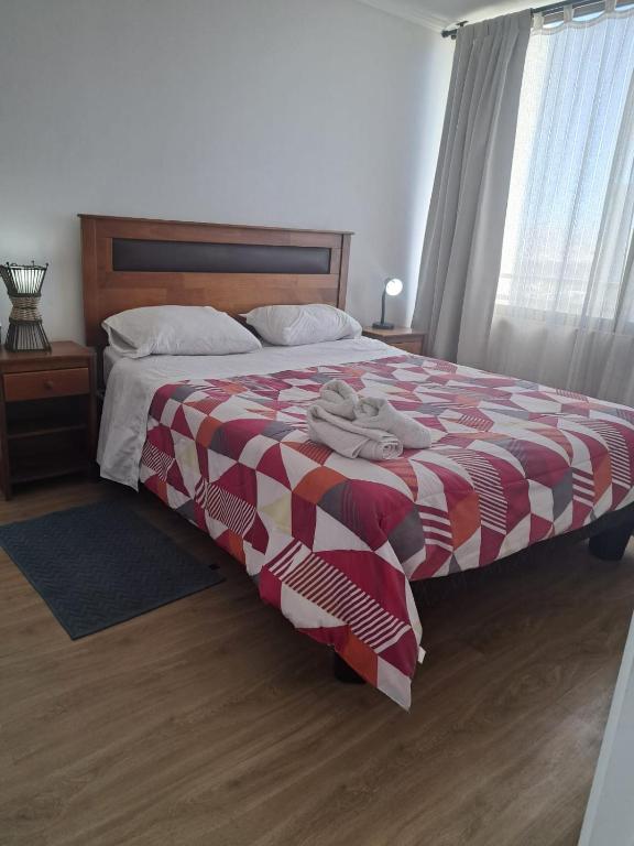 Dpto de 1 habitación Calama Centro - 1