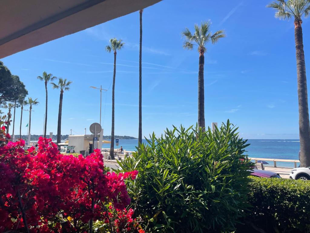 Juan Plage - 4
