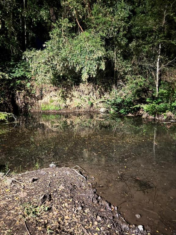 Camping Aldea Molco - 5