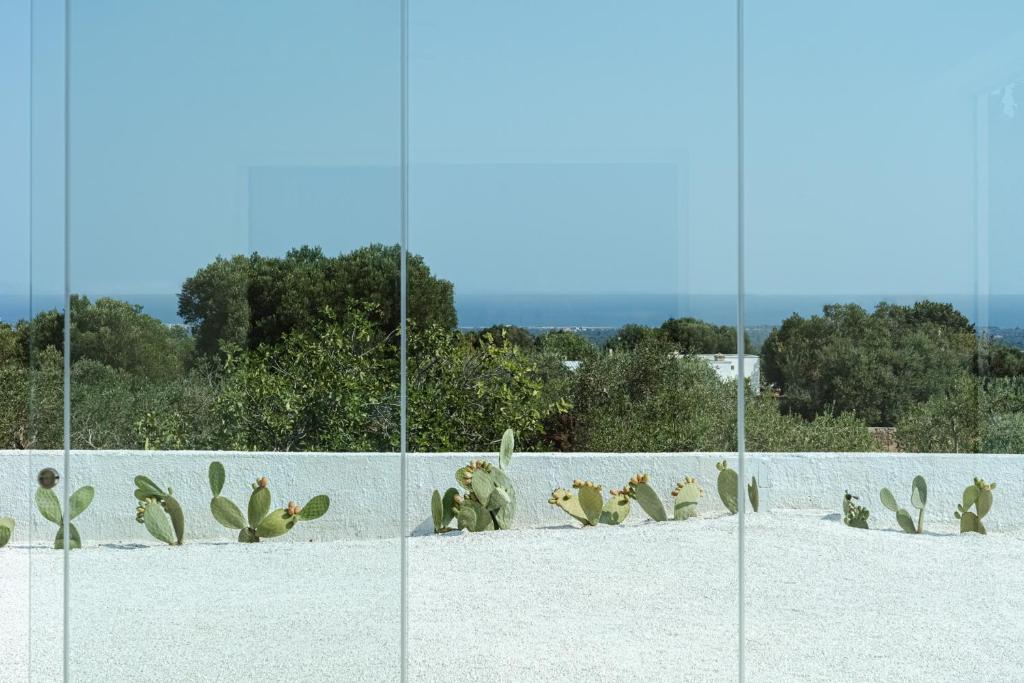 Contemporary Villa with Pool and Sea View in Ostuni - 4