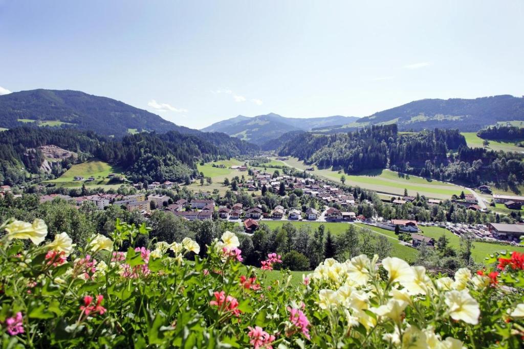 Bauernhof Mödling - 4