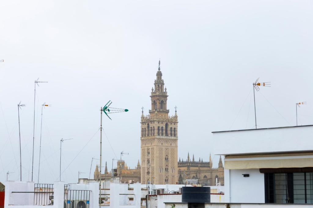 Casa Palacio Alfalfa 30 l Historic Palace near the Giralda - 5