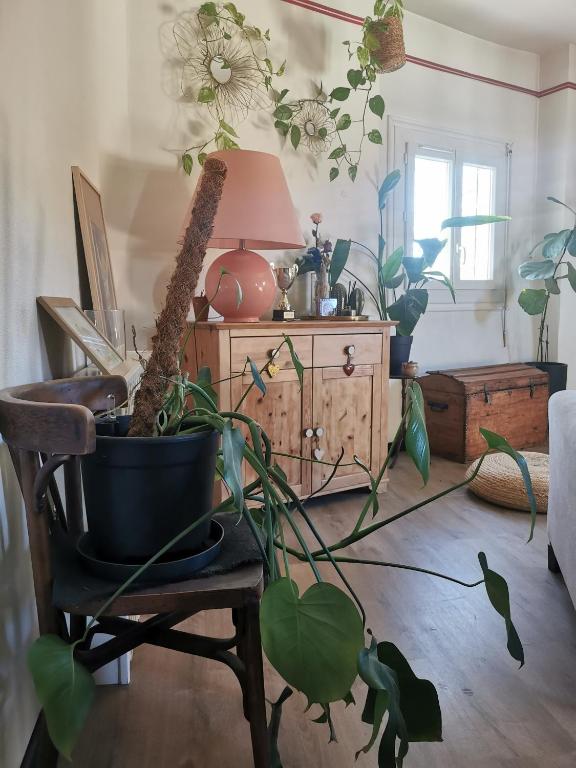 Charmant appartement lumineux - Centre ville de Perpignan - 4