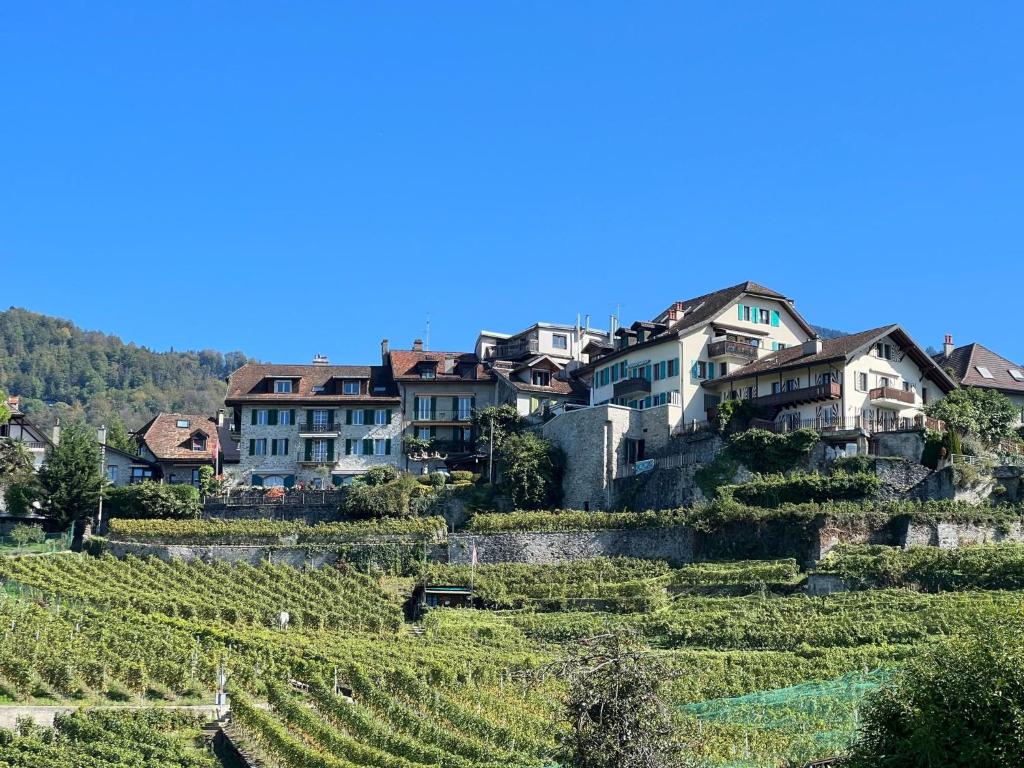 Apartment Vigneronne- App- Lac by Interhome - 2