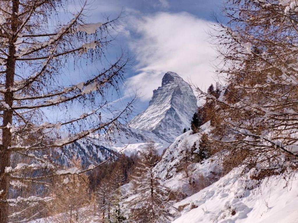 Holiday Home Freistehendens Chalet Zen Zermatt an bester Lage by Interhome - 3