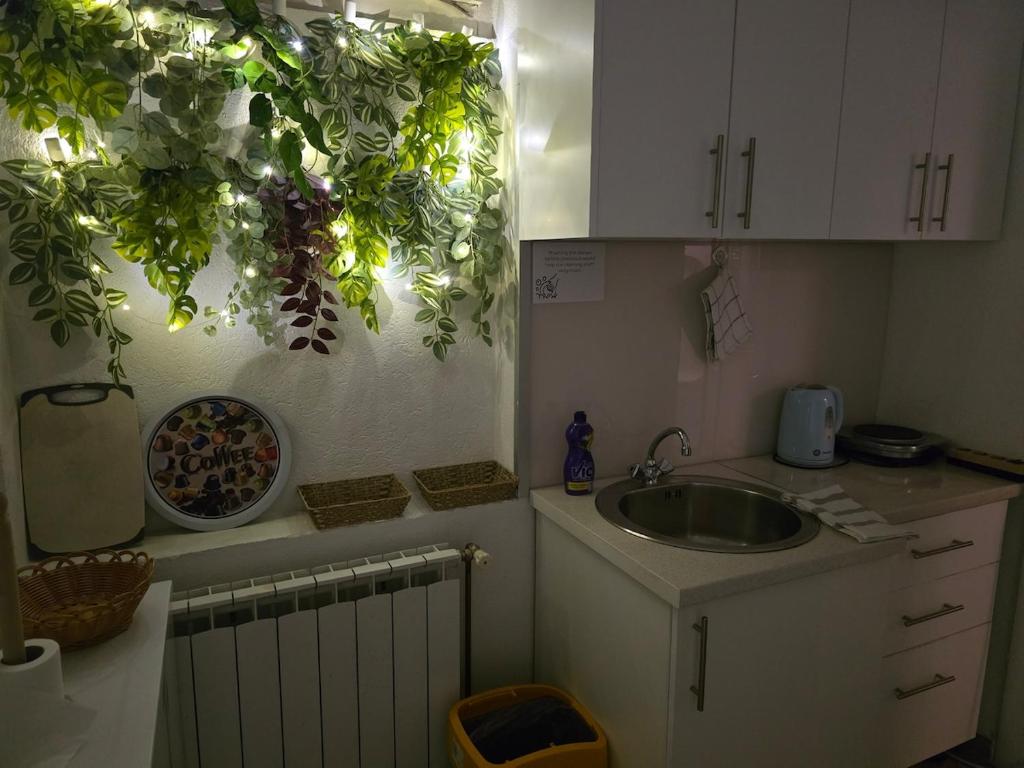Cozy apartman in the center - 3