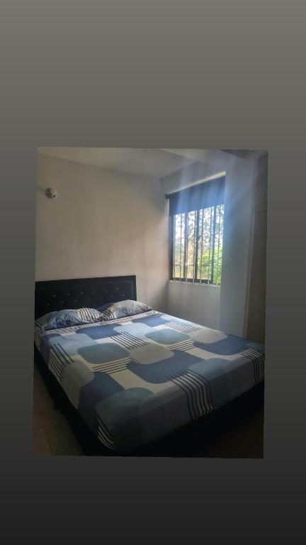Habitación en conjunto - 5
