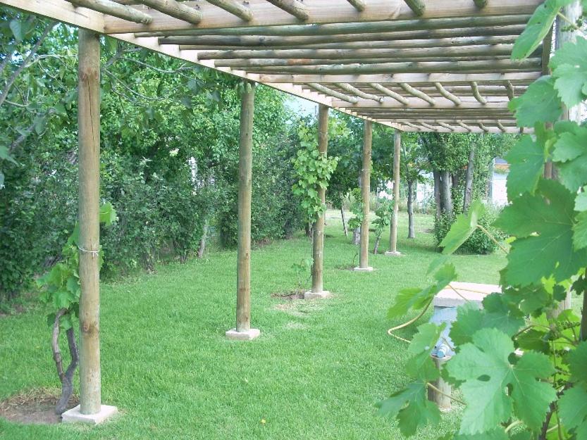 Casa los olivos - 3
