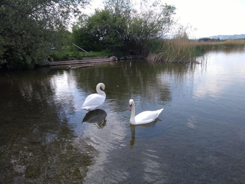 Ferienhof Endras direkt am See - 5