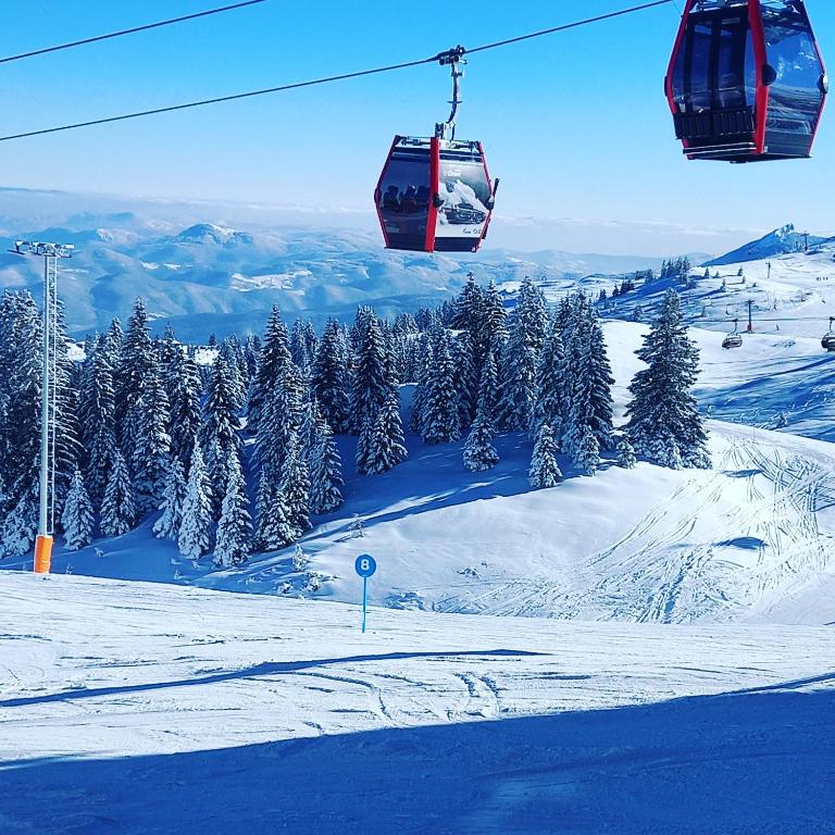 Olimpijska kuca 202 - 5