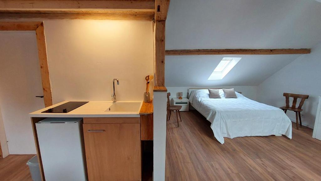 Large Private Room Near Colmar Center with Free Public Parking - 5