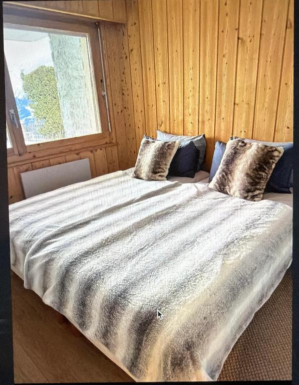 Superbe appartement avec vue et parking gratuit - 4
