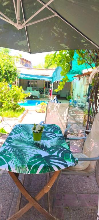 Oasis urbano con jardin - 1