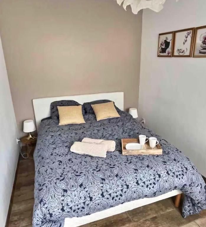 Appartement lumineux 45 m2 avec parking proche gare et centre de Reims - 4