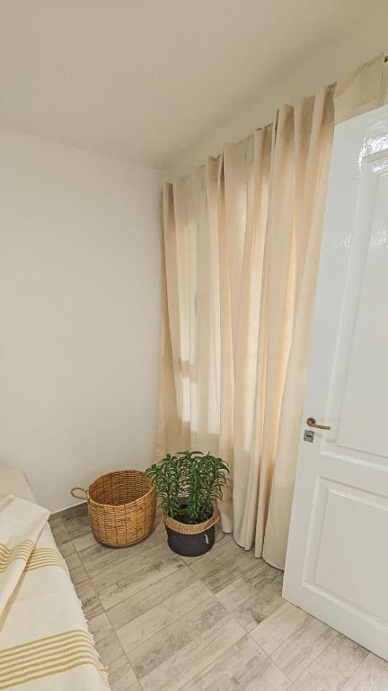 Suite de Lujo Castañitas - 3