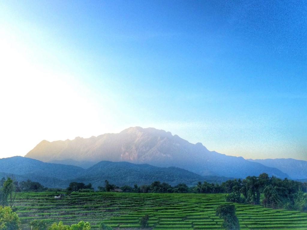 กิจกรรม