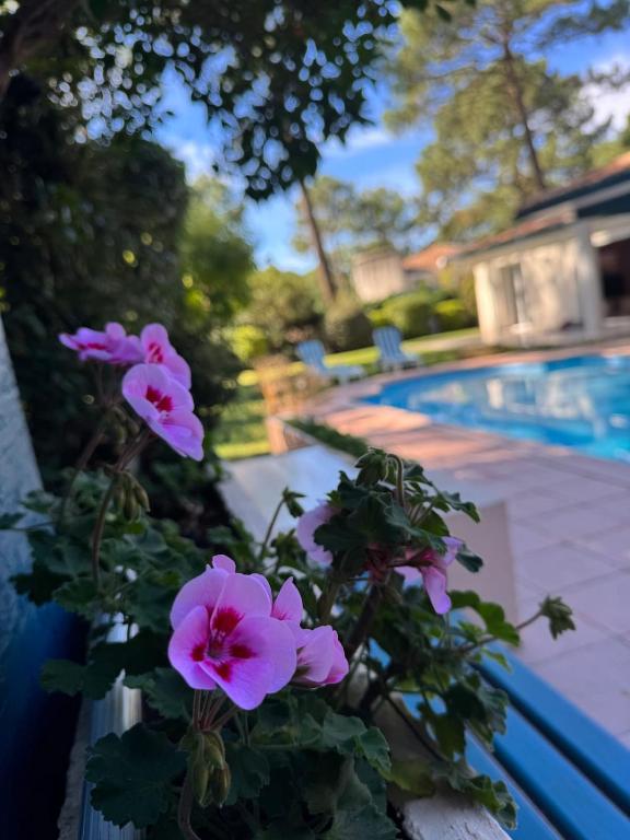 Villa 3 étoiles piscine chauffée 6 pers Biscarrosse Lac - 2