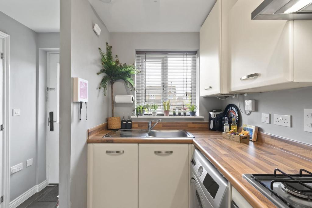 Stylish Home with Private Garden, Newquay photo 4