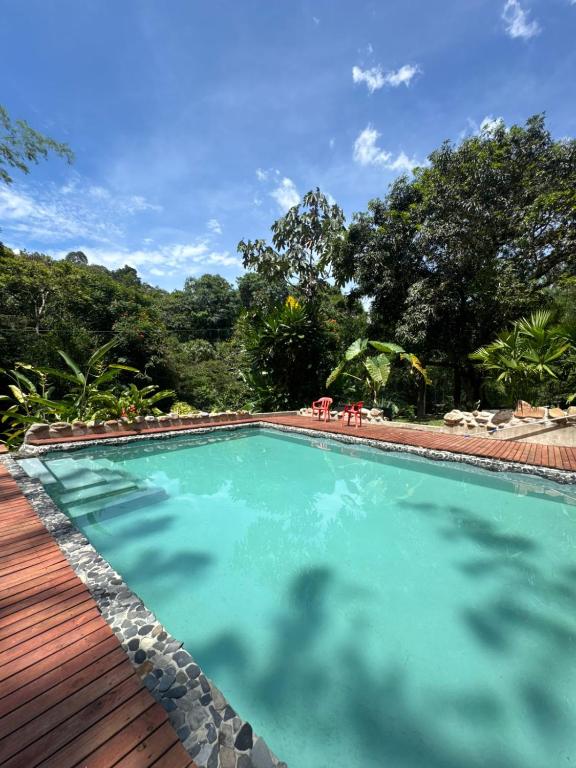 Selvática Ecohotel y Centro Holístico - 5