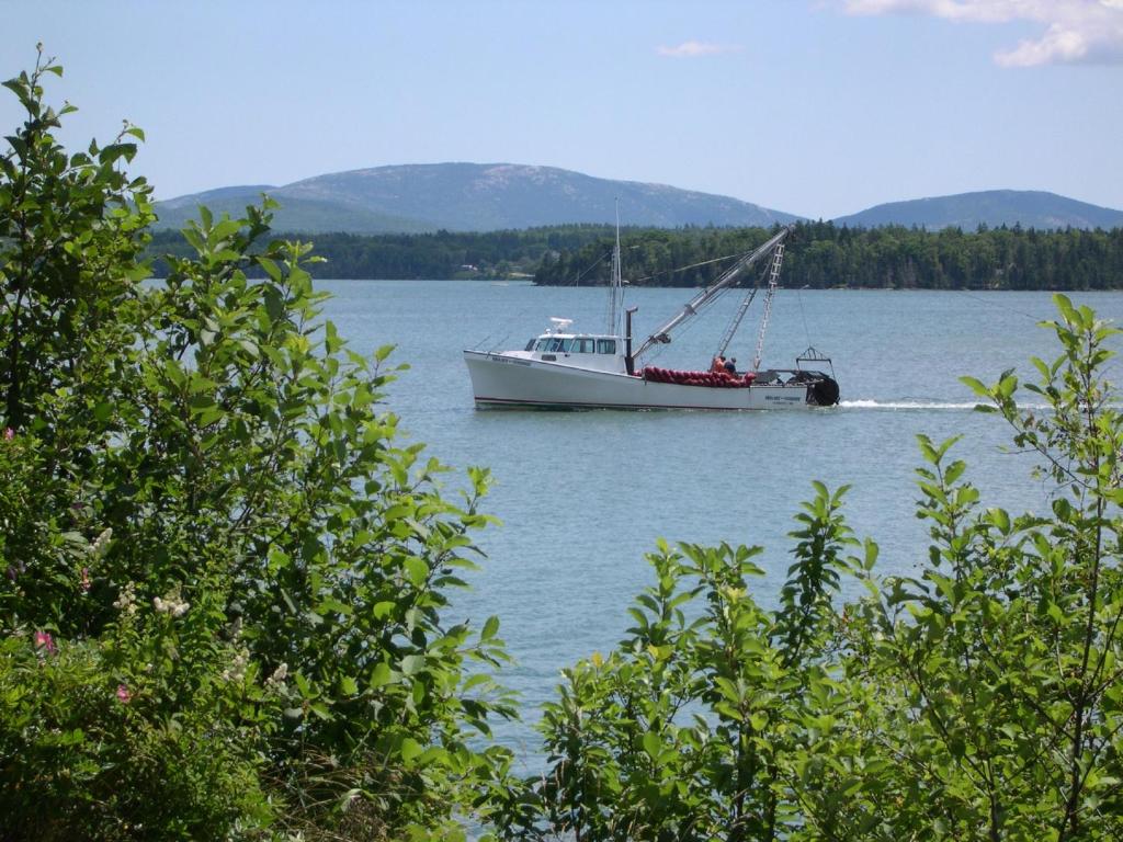 Narrows Too Camping Resort Cabin 6 — Hotel in Trenton (ME)