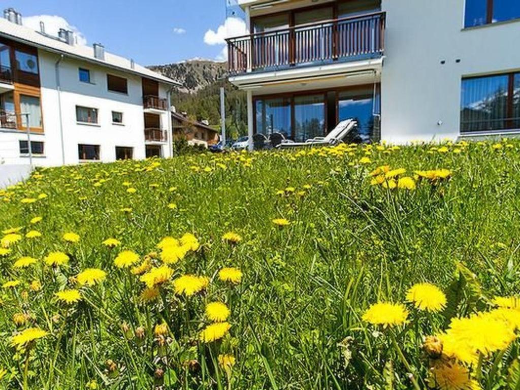 Apartment Chesa Rosatsch by Interhome - 4
