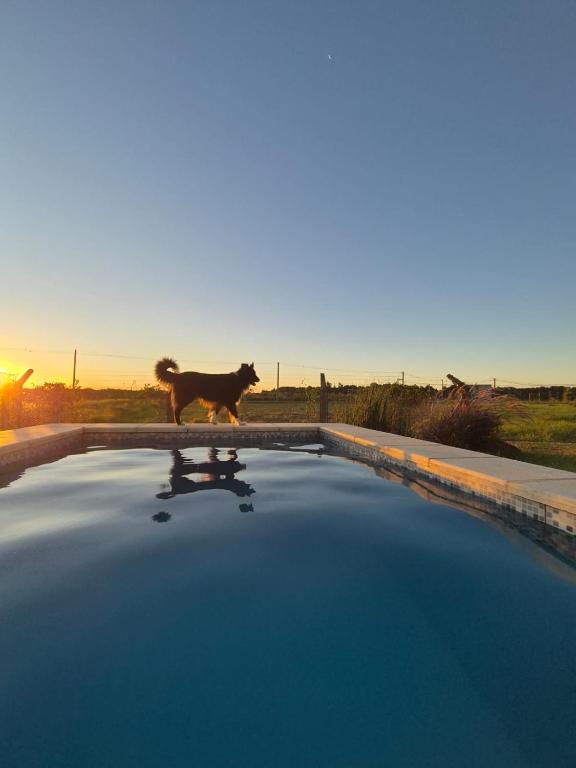 Sunset House - 4