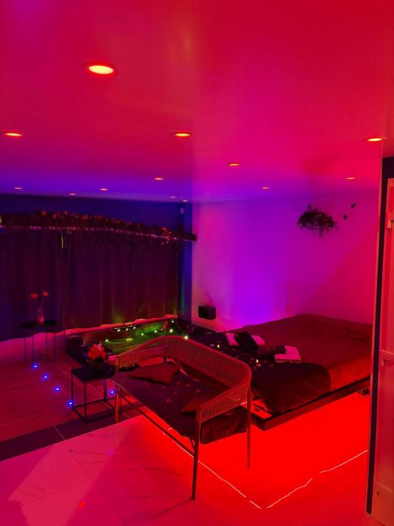 Apparte front de mer avec Jacuzzi & Clim - 3
