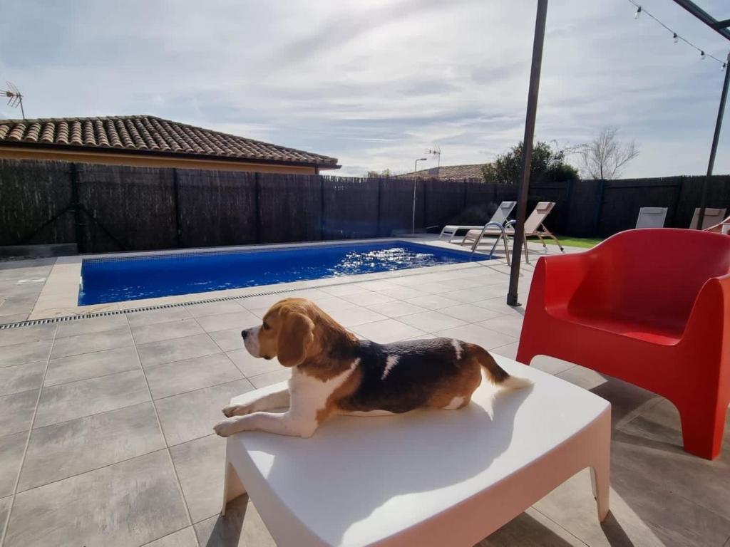 Holiday Home Ferienvilla Medes Mar in l'Estartit by Interhome - 3