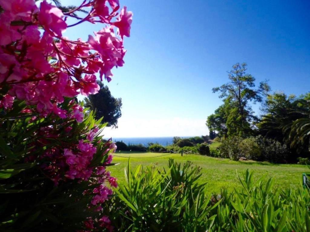 Apartment Cap Esterel Prestige by Interhome - 4
