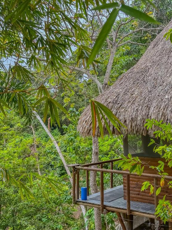 Jardin Secreto Tayrona - 3