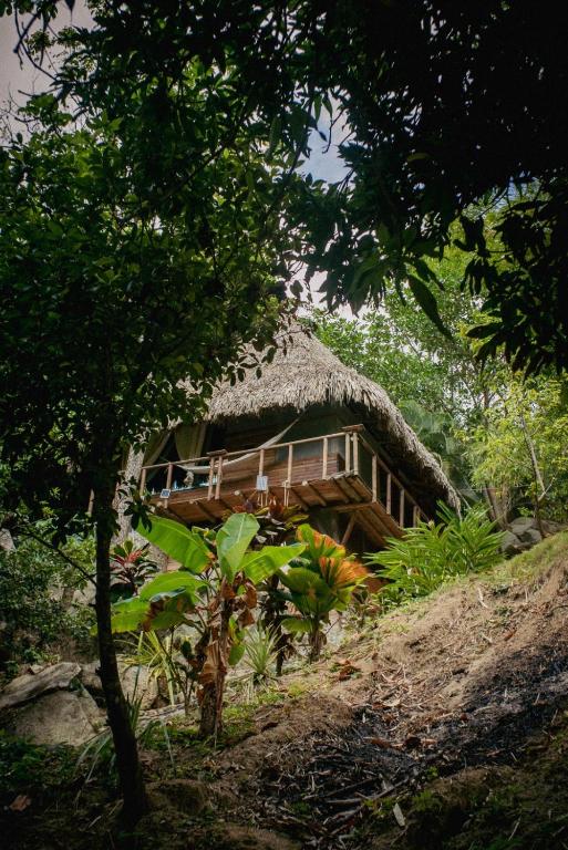 Jardin Secreto Tayrona - 4