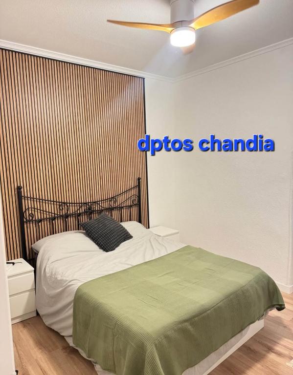 Dptos Chandia - 4