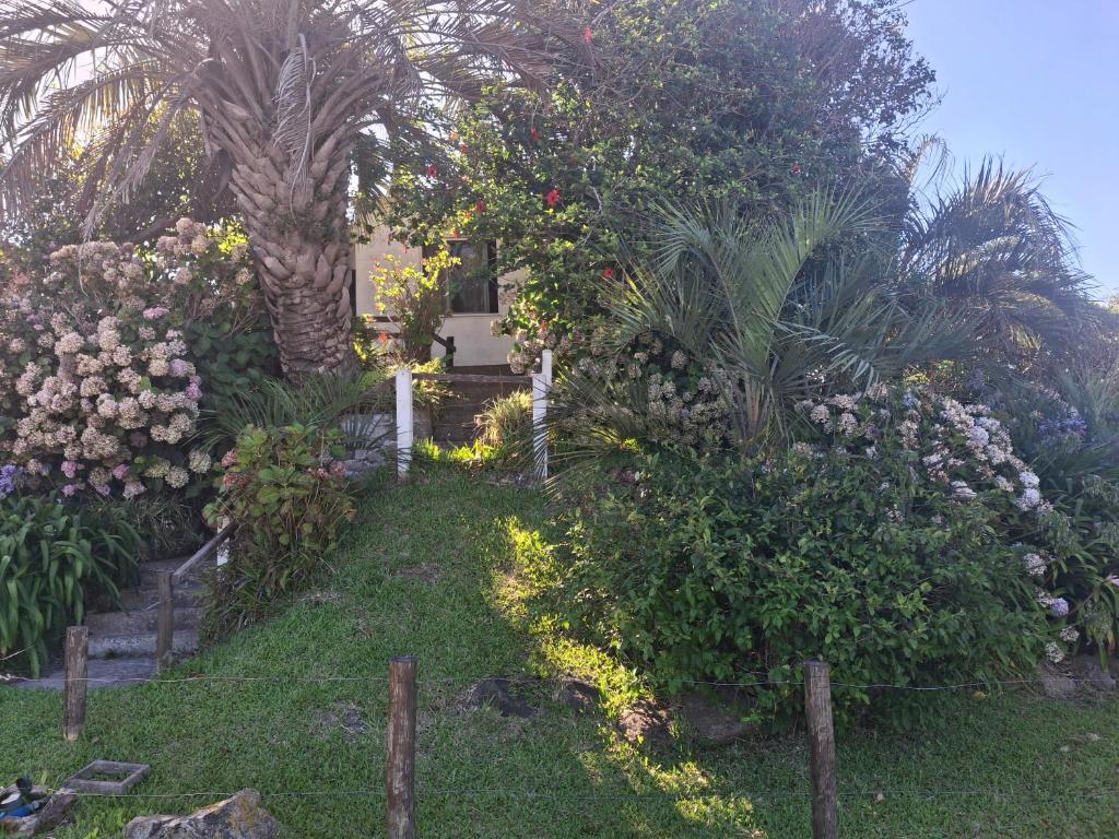 Casa de veraneo - 1