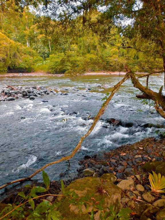 Puerto Quito Lodge - MonPar - 5