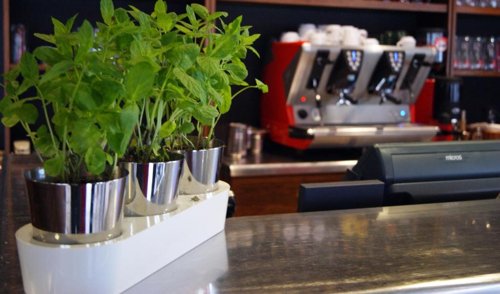 Ibis Katowice - Zabrze Photo 45