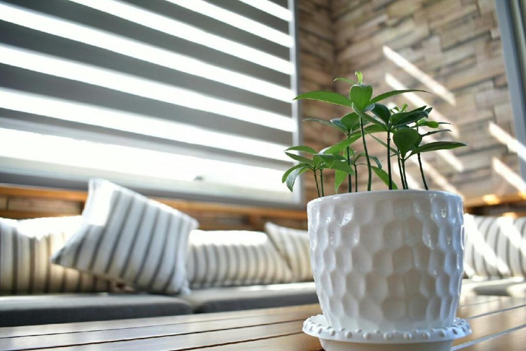 The Green Mile Field B&B, Ji'an