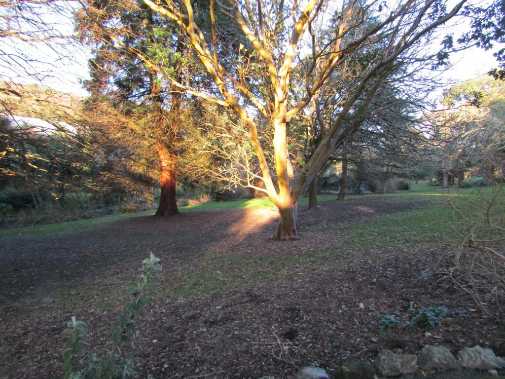 スポーツ/アクティビティ